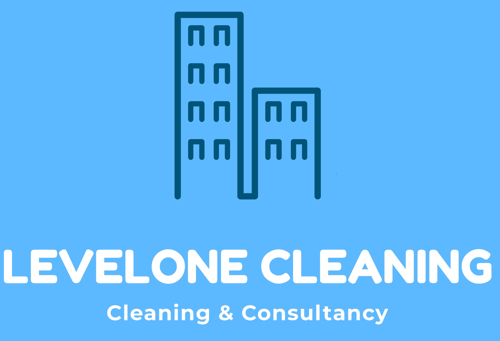 Levelone Cleaning